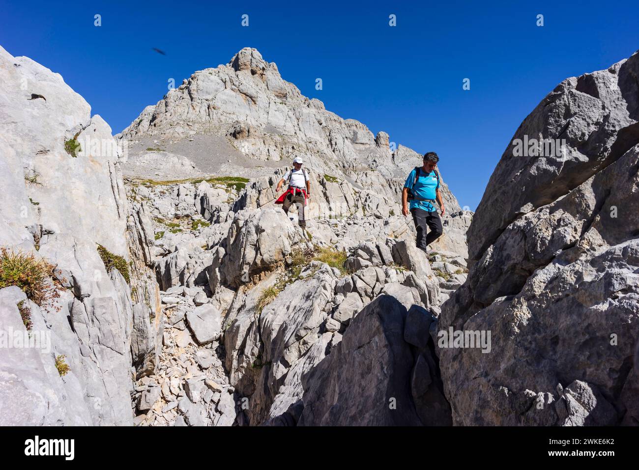 Wanderer, der durch das Kalksteinrelief des Arres de Anie, den Gipfel von Anie, das Kalkplateau von Larra, die Navarra-französischen Pyrenäen, Navarra, Spanien. Stockfoto
