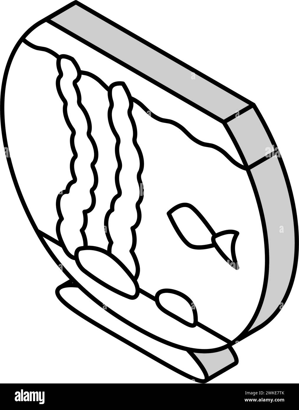 Süßwasseraquarium Fisch isometrische Icon Vektor Illustration Stock Vektor