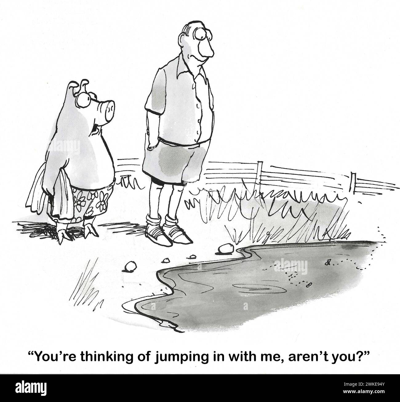 BW Cartoon eines Schweins und seines Freundes, des Mannes. Das Schwein will in das Schlammloch springen und denkt, der Mann ist auch eifrig. Stockfoto