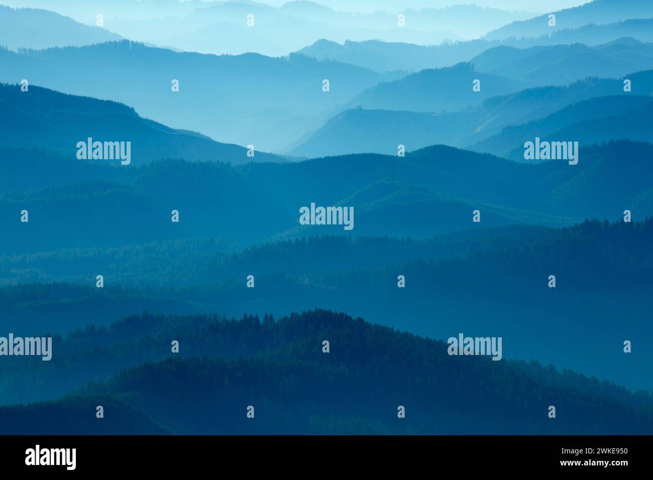 Coast Range Bergrücken im Dunst von Marys Peak, Marys Peak Scenic botanischen Bereich, siuslaw National Forest, Oregon Stockfoto