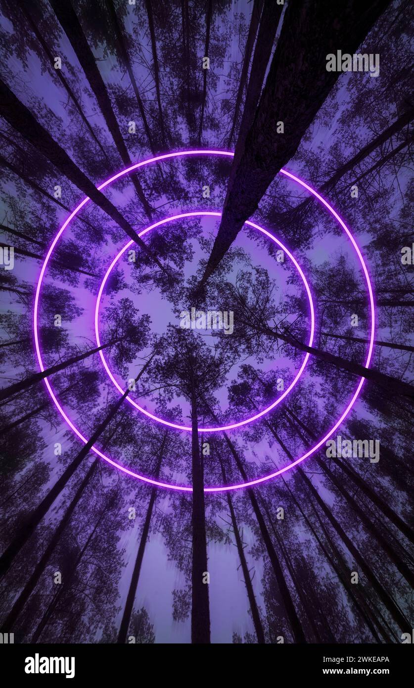 Geheimnisvolle lila Neonkreise auf Baumkronen in einem düsteren Wald. Stockfoto