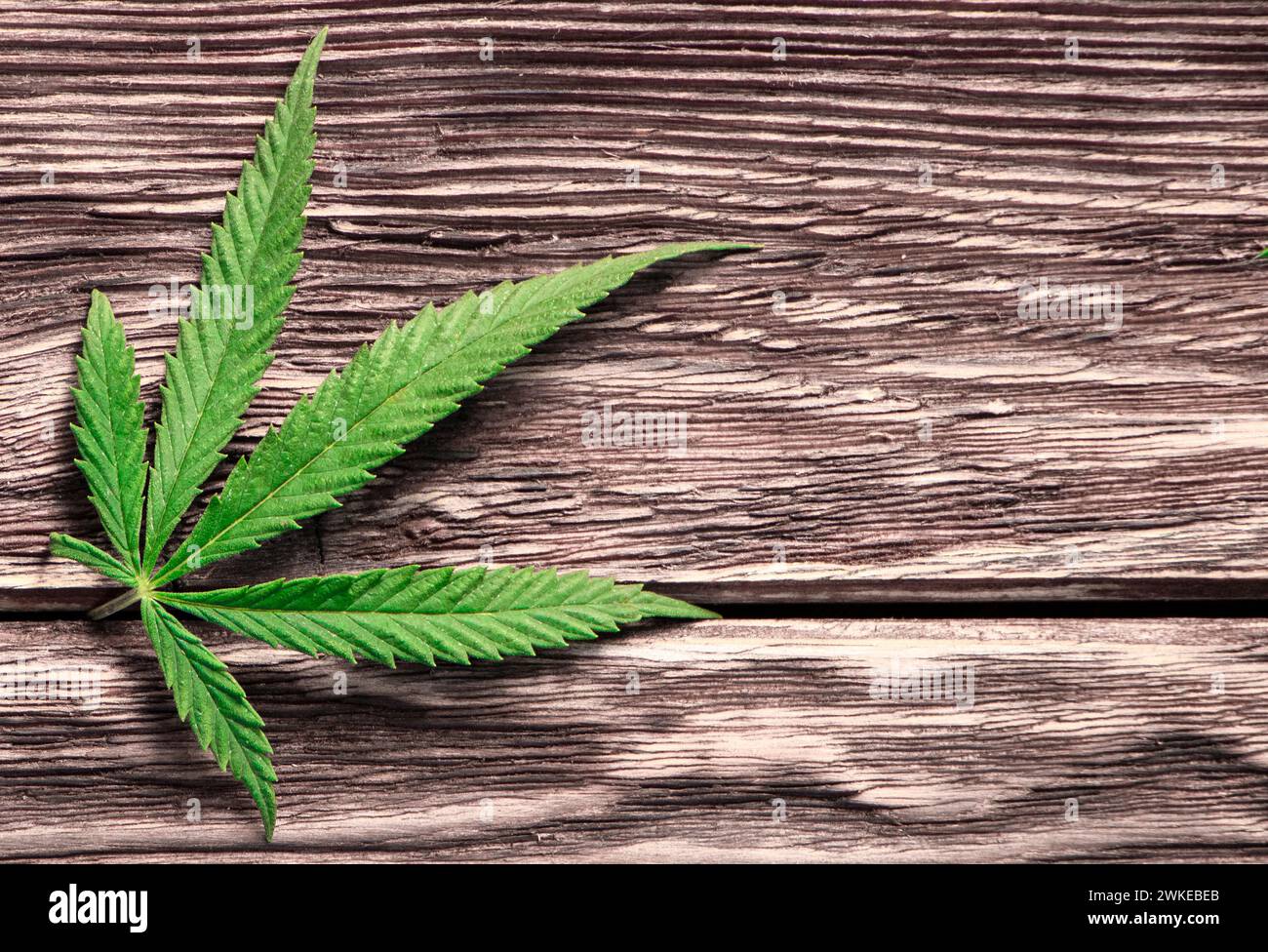 Cannabis-Blätter auf alten hölzernen Hintergrund Stockfoto