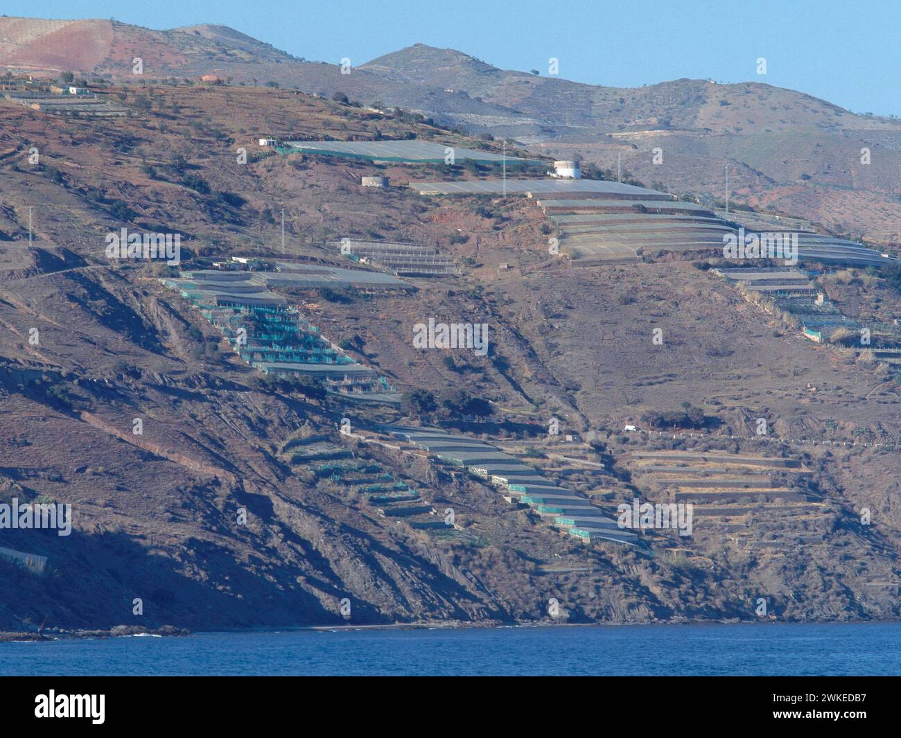 CULTIVO EN TERRAZAS EN MONTAÑAS AL BORDE DEL MAR -. Lage: AUSSEN. Adrá. Almería. SPANIEN. Stockfoto