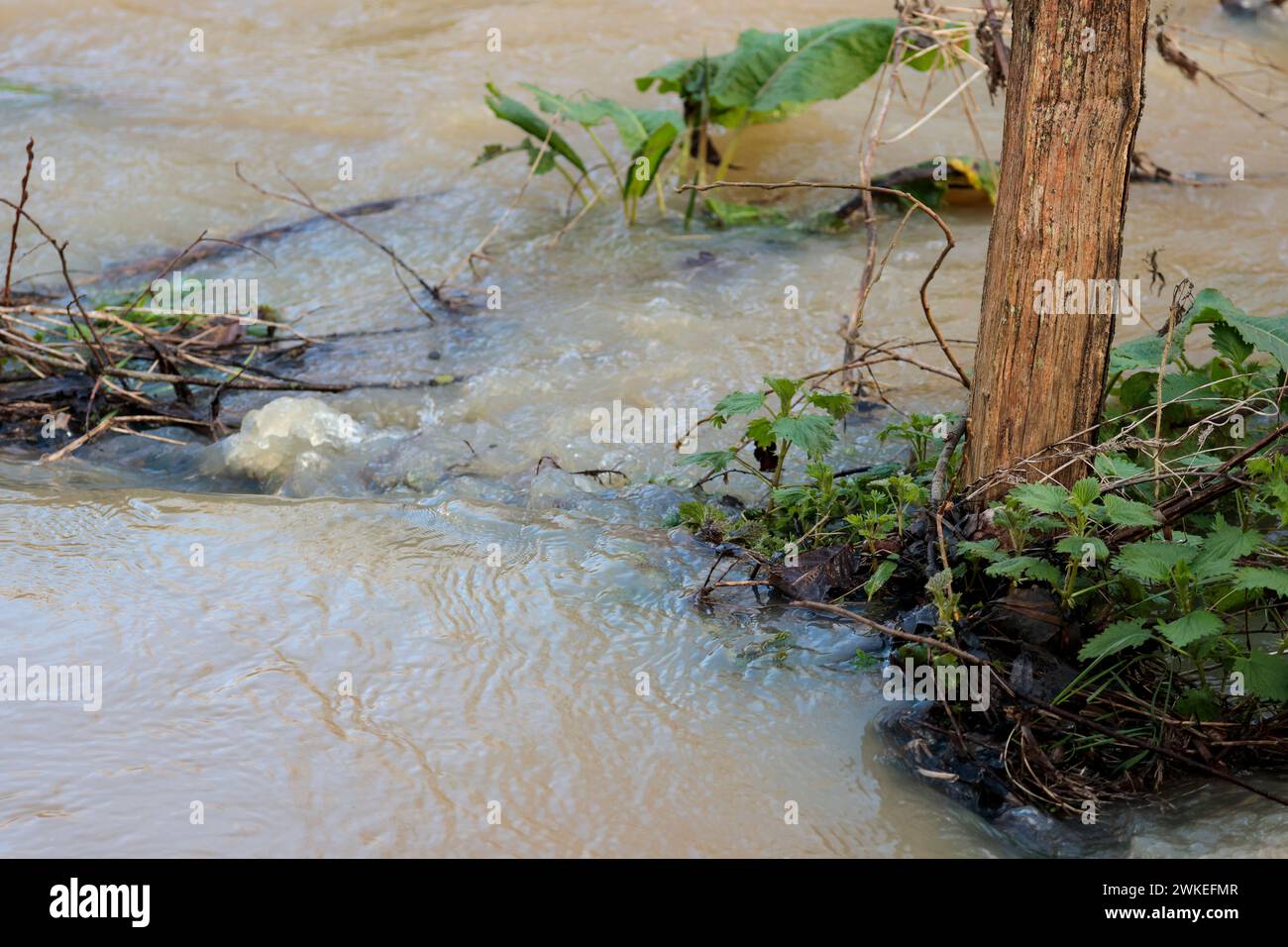 Überschwemmungen matschiges Hochwasser im Warnham Naturschutzgebiet Horsham UK Anfang der Frühjahrssaison platzte Flussufer aufgrund langer Regenperioden Stockfoto