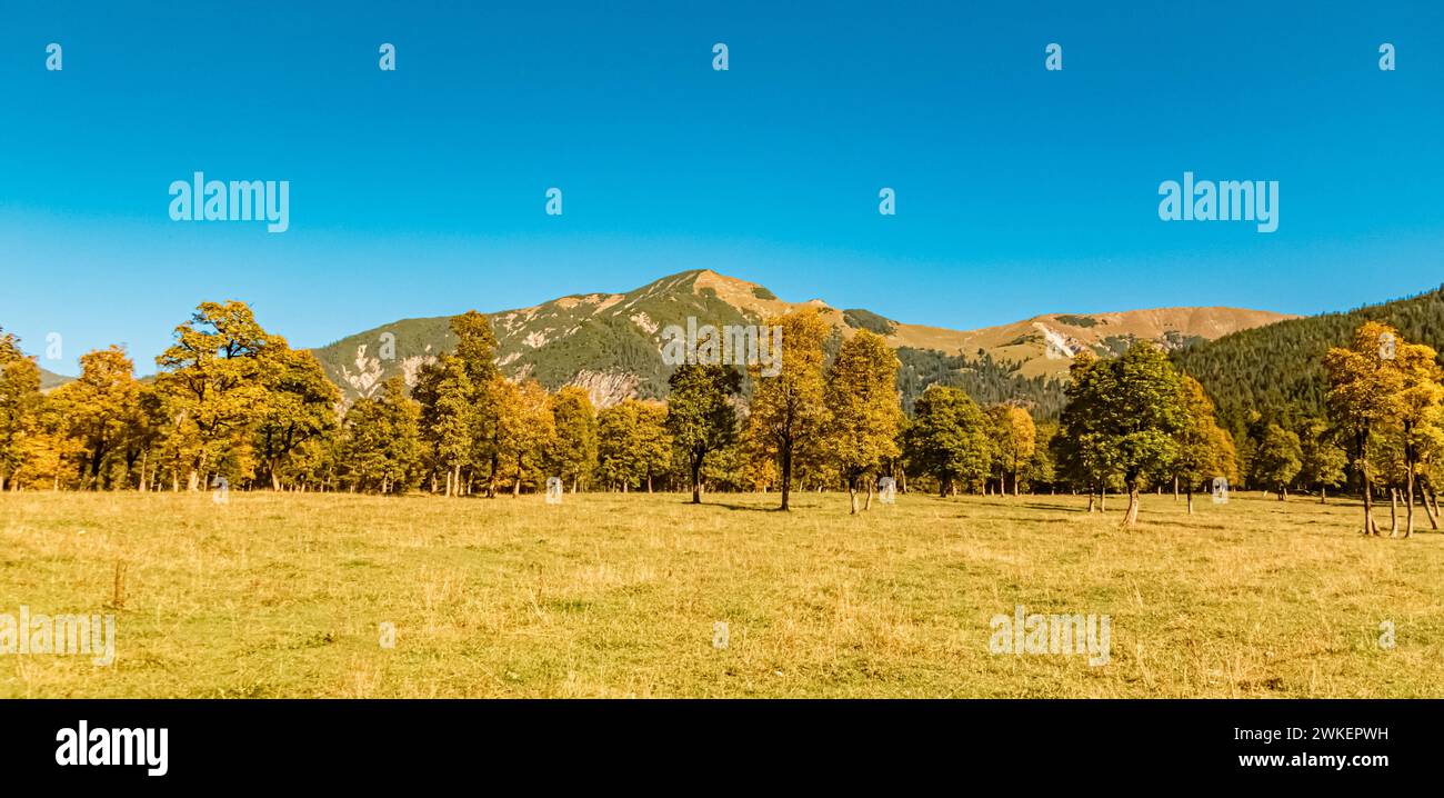 Alpiner Herbst oder indische Sommerlandschaft am Großen Ahornboden, großer Ahornhain, Hinterriss, Schwaz, Tirol, Österreich Ahornboden, AX 004 Stockfoto