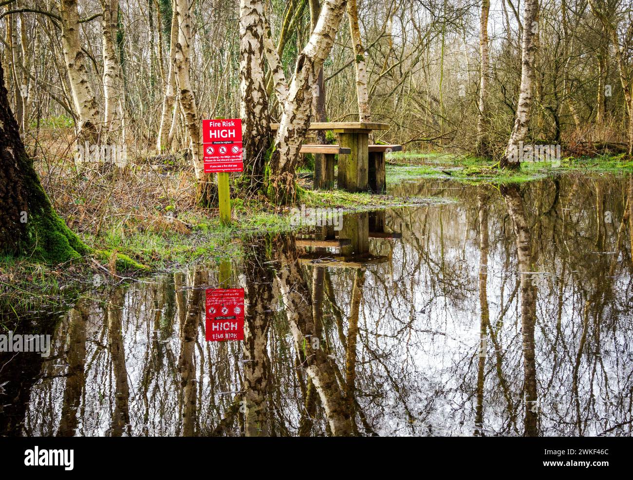 Saisonal amüsantes Schild an einem Waldpicknickplatz auf den überfluteten Somerset Levels, das vor einem hohen Brandrisiko warnt Stockfoto