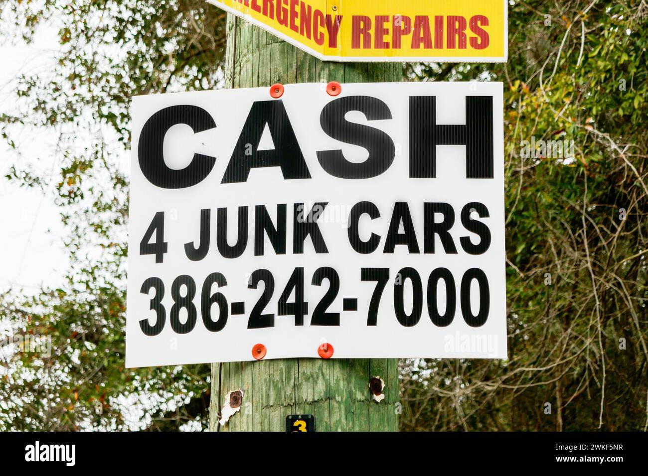 BARGELD FÜR JUNK CARS Schild an einem Straßenmast neben einem Highway in Nord-Florida. Stockfoto
