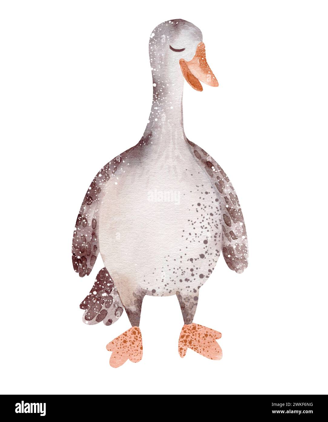 Geflügelgans. Aquarellillustration eines Vogels isoliert auf weißem Hintergrund. Silhouette von Nutztieren handgezeichnet. Stockfoto