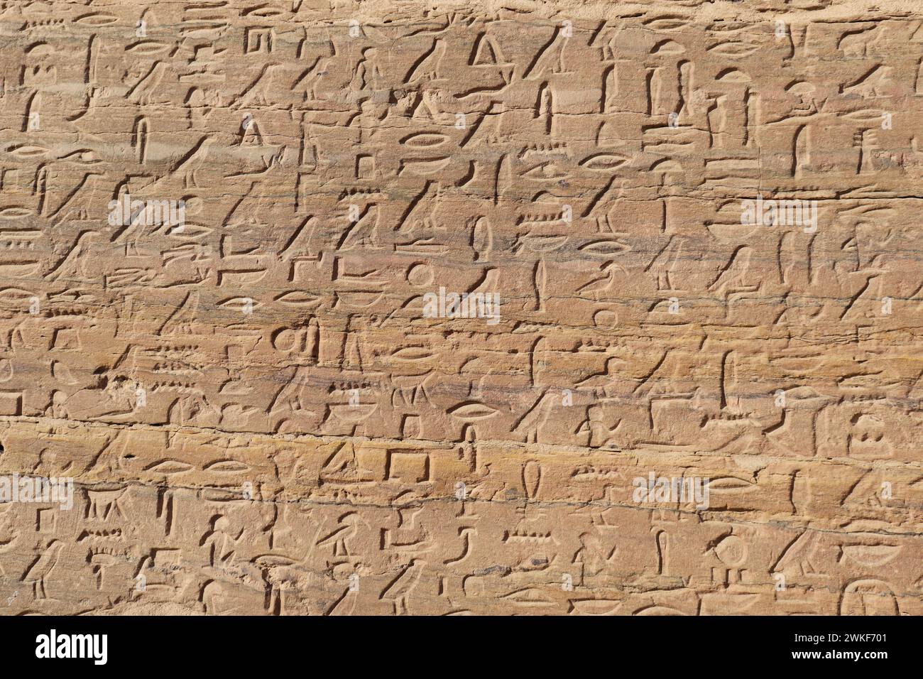 altägyptische Schnitzereien und Hieroglyphen an den Gräbern der Adligen in West-Assuan, Ägypten Stockfoto