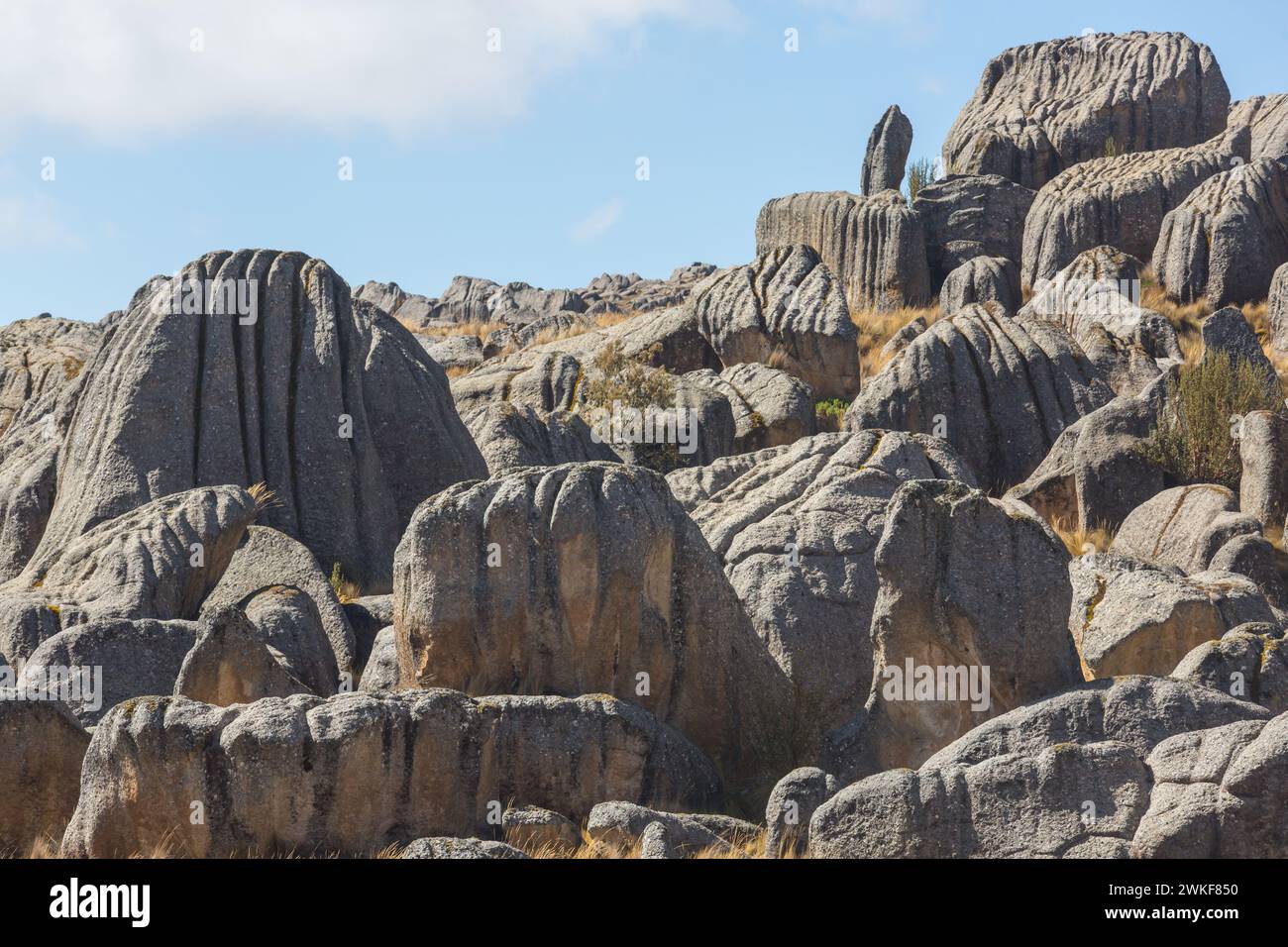 Natursteinwald in Peru: Huallay in Pasco. Stockfoto