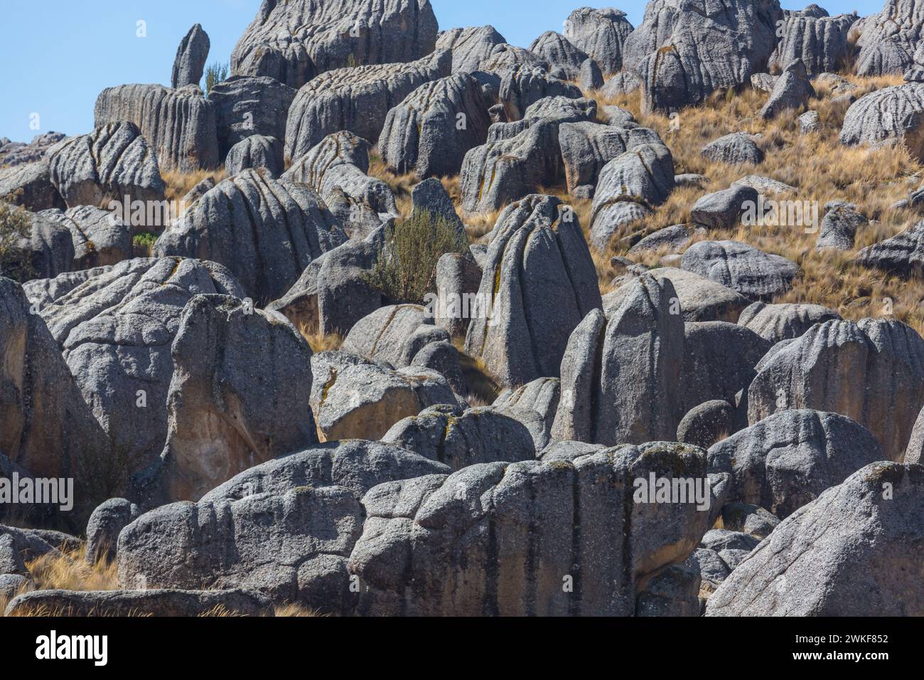 Natursteinwald in Peru: Huallay in Pasco. Stockfoto
