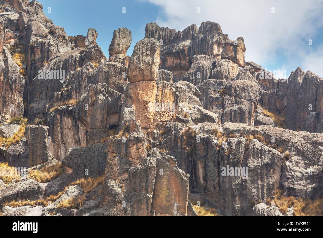 Natursteinwald in Peru: Huallay in Pasco. Stockfoto