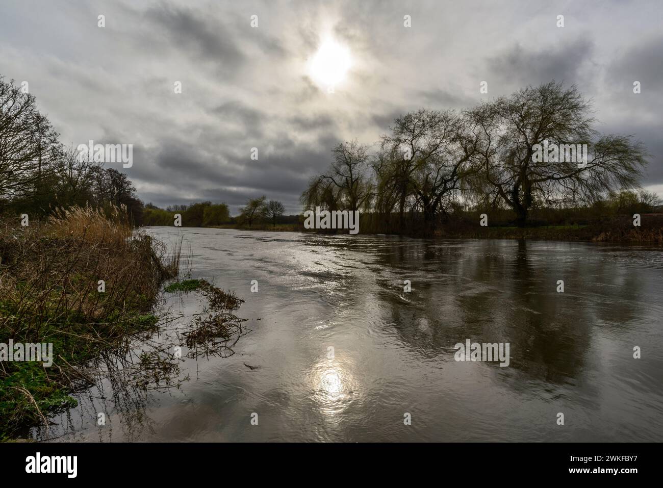 Dunkler Fluss mit Sonnenlichtreflexion im Wasser im Winter, stimmungsvolle Landschaft Stockfoto