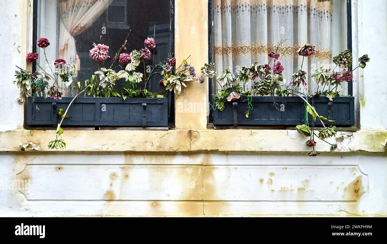 Tote Blumen saßen in Fensterboxen eines verlassenen Hotels in Central Blackpool Stockfoto