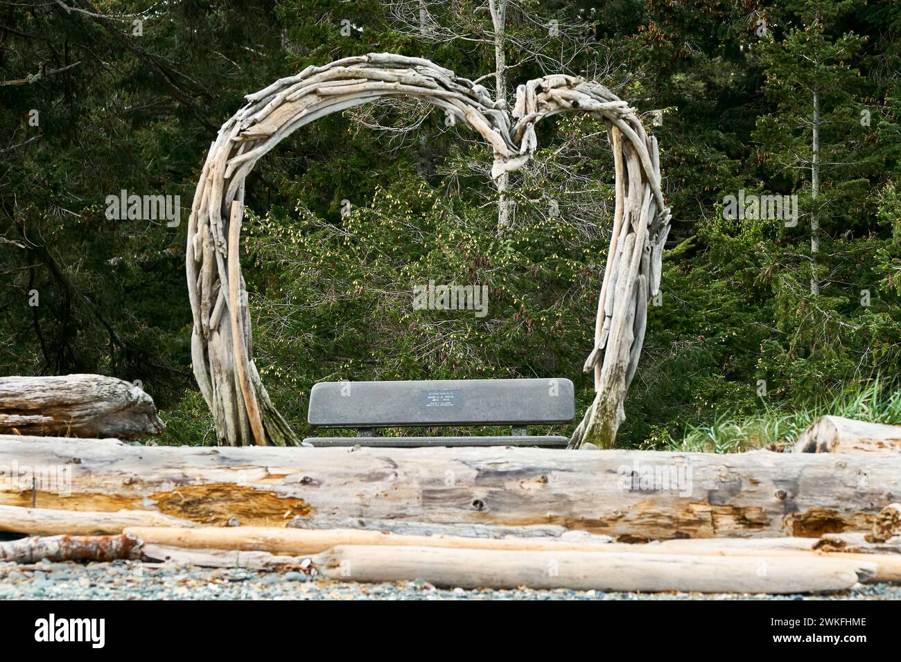 Ein Treibholzherz, das als Rahmen für Fotos an einem mit Drfitwood bedeckten Meeresstrand mit einer Bank und einem Waldhintergrund verwendet wird. Stockfoto