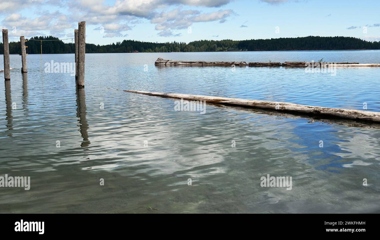 Blick auf den See auf alte Anlegestapel, ein paar Baumstämme und Wolken, die sich im ruhigen blauen Wasser spiegeln. Stockfoto