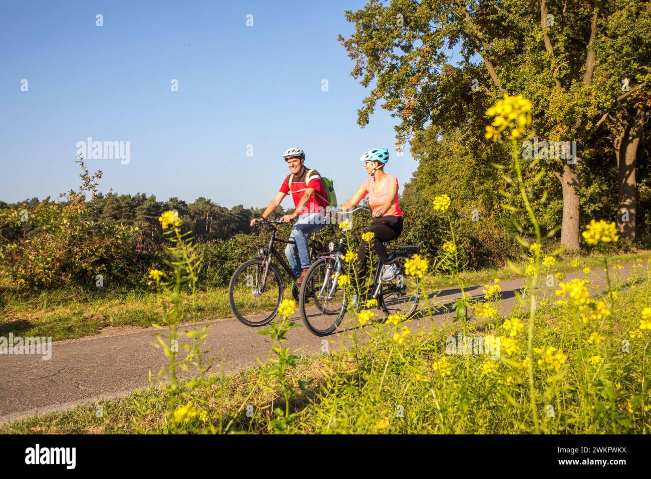 Radfahrer, Radtour im Naturschutzgebiet Dingdener Heide, Heide- und Moorlandschaften, nördlich des Dorfes Dingden, gehört zu Hamminkeln, Kult Stockfoto