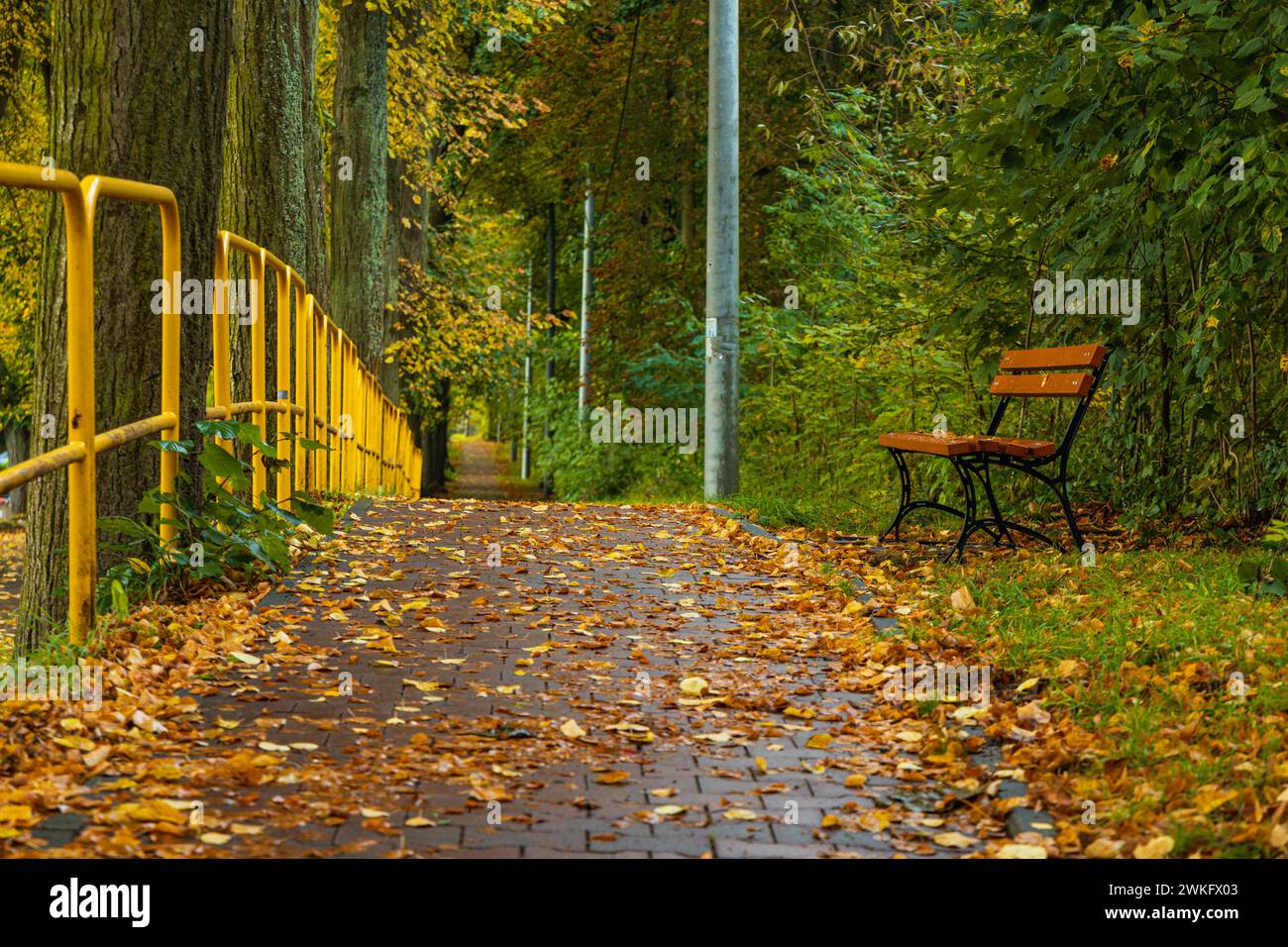 Allein eine Holzbank steht im Park neben dem Bürgersteig mit langem gelbem Geländer neben der Straße Stockfoto