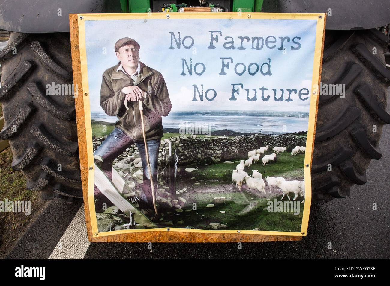 Ein Plakat mit der Aufschrift „keine Bauern, kein Essen, keine Zukunft“, das während der Demonstration an einem Traktor entlang der Schnellstraße S3 angebracht wurde. Polnische Landwirte protestieren gegen billiges ukrainisches Getreide, das den Markt überschwemmt, und EU-Vorschriften über den Einsatz von Pestiziden und Düngemitteln. Traktoren mit polnischer Flagge blockierten Autobahnen und wichtige Kreuzungen an fast 200 Standorten in Polen. (Foto: Karol Serewis/SOPA Images/SIPA USA) Credit: SIPA USA/Alamy Live News Stockfoto