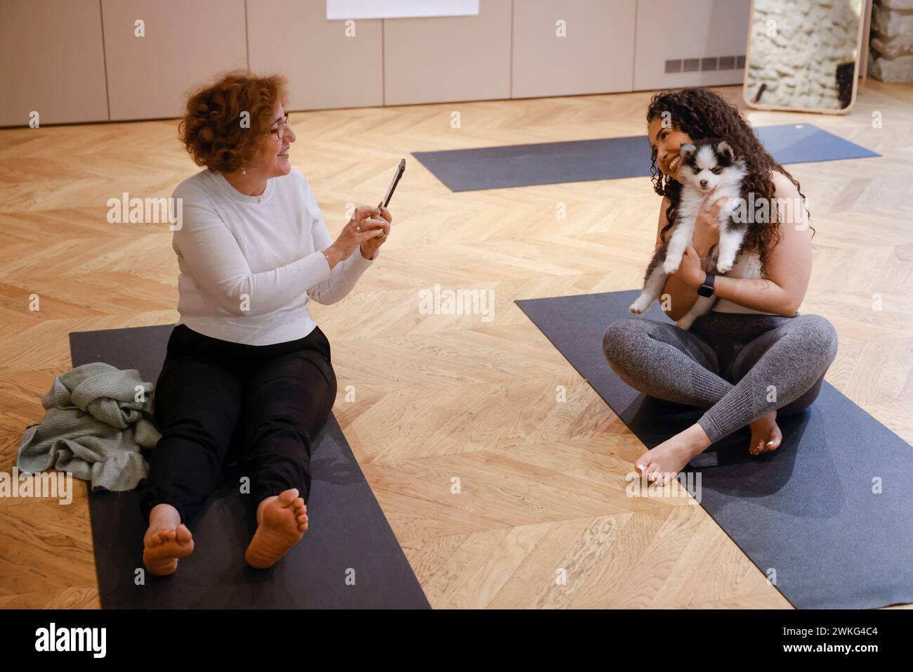 WELPEN-YOGA IN PARIS Stockfoto
