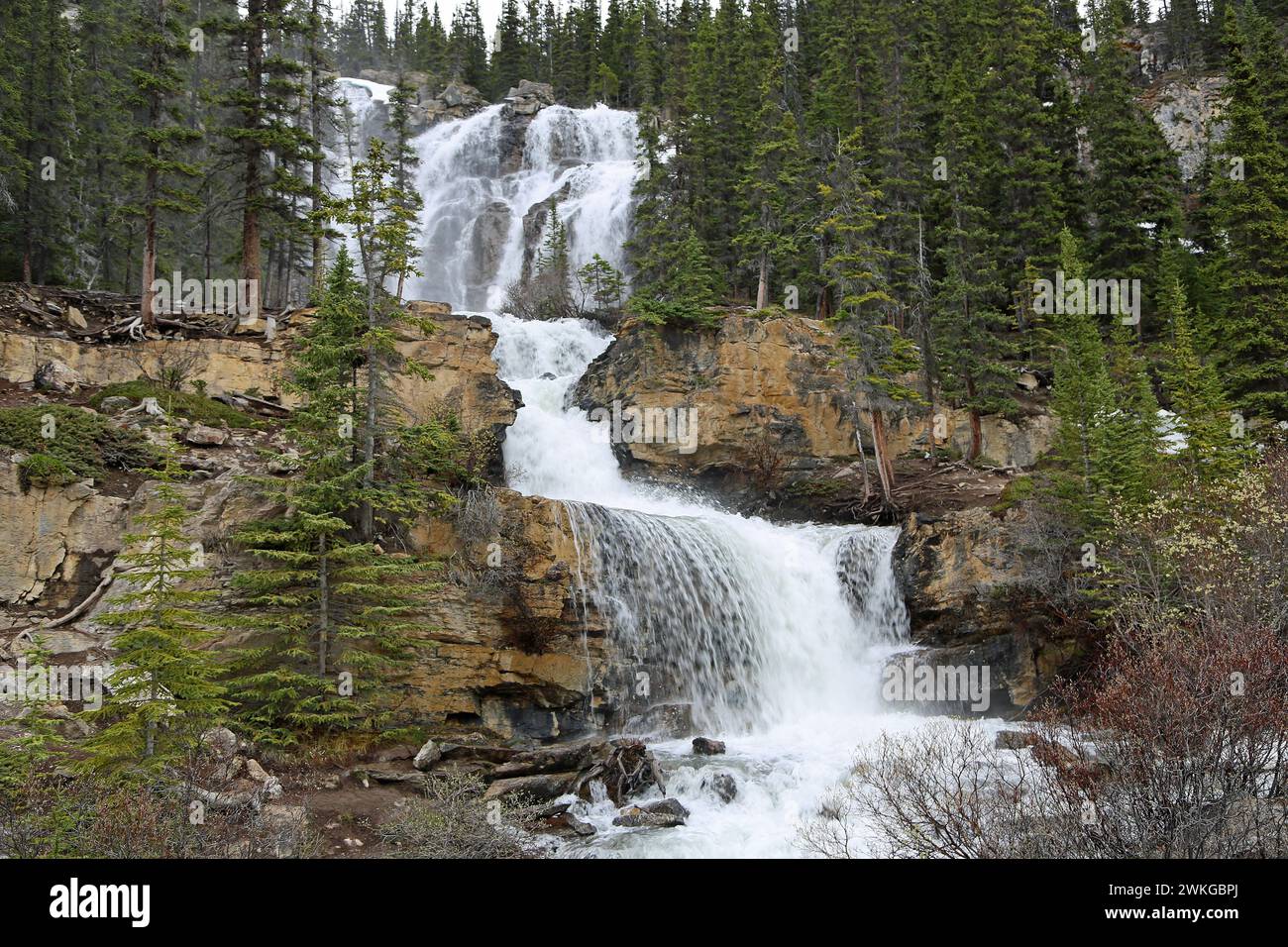 Tangle Creek Wasserfälle, Kanada Stockfoto