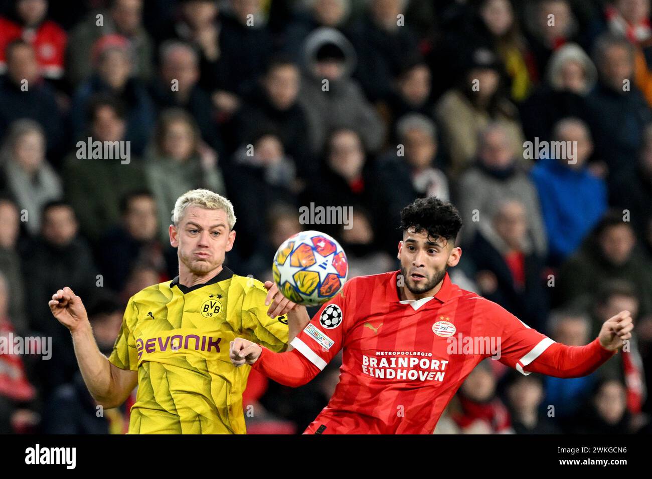 Eindhoven, Niederlande. Februar 2024. Fußball: Champions League, PSV Eindhoven - Borussia Dortmund, K.-o.-Runde, Achtelfinale, erstes Leg, Philips Stadion. Dortmunder Julian Ryerson (l) und Eindhovens Ricardo Pepi kämpfen um den Ball. Quelle: Federico Gambarini/dpa/Alamy Live News Stockfoto