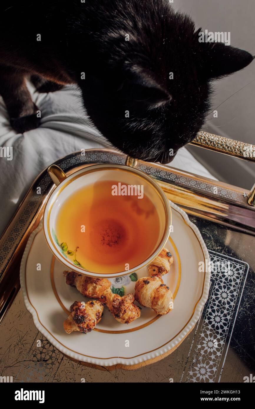 Neugierige schwarze Katze schnüffelt süße Teetasse aus schwarzem Tee mit Mini-Croissants auf Untertasse, silbernem Tablett auf dem Bett Stockfoto