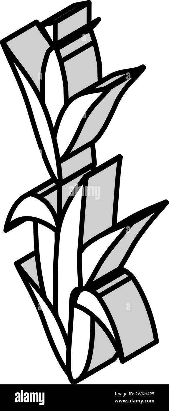 Grüne isometrische Symbolvektorillustration der Maispflanze Stock Vektor