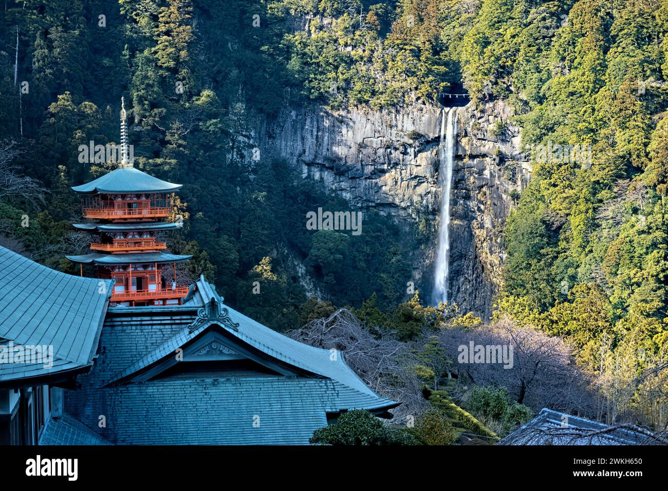 Seiganto-JI Pagode und Nachi Falls, Nachisan, Wakayama, Japan Stockfoto