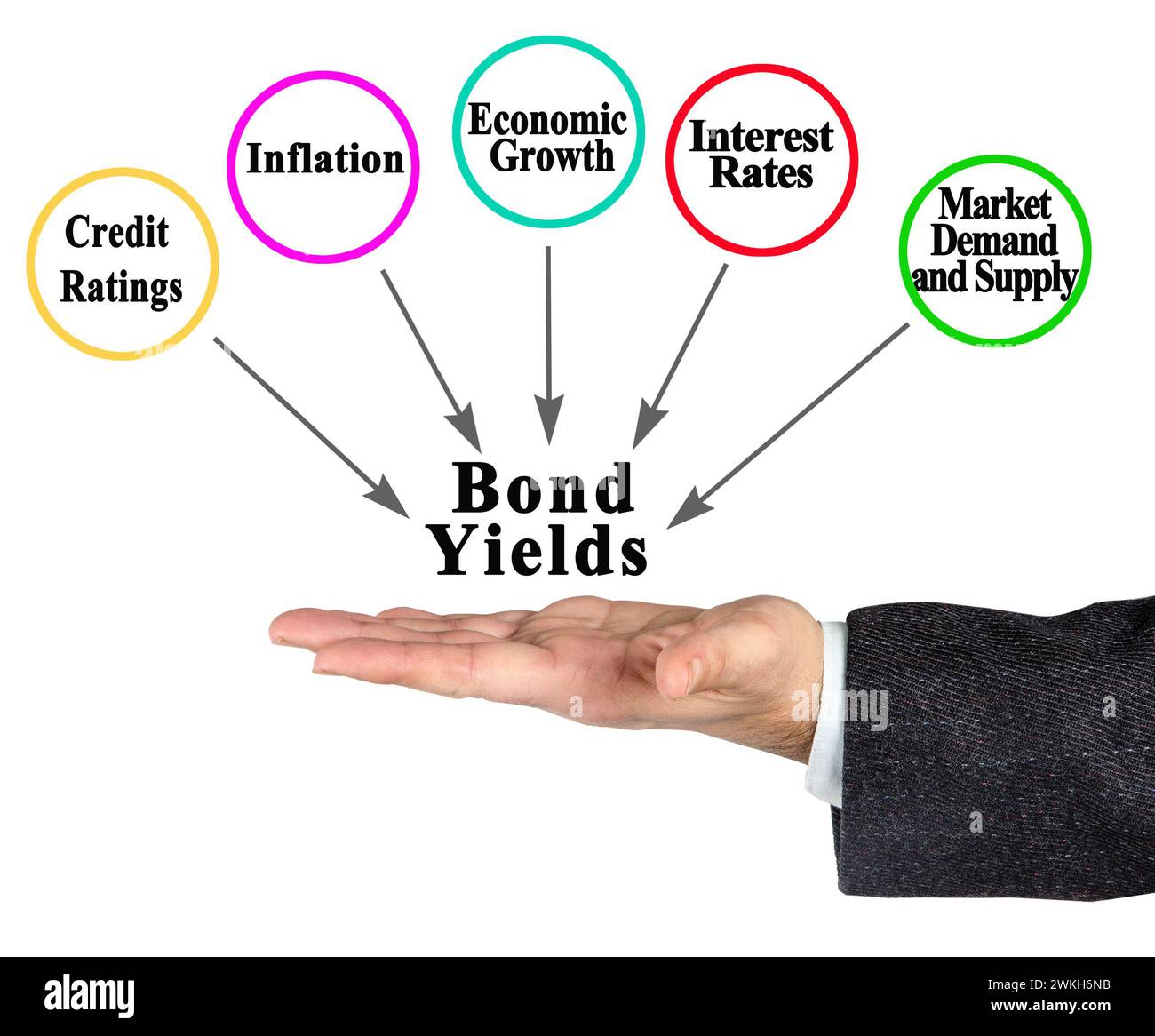 Fünf Faktoren, Die Die Anleiherenditen Beeinflussen Stockfoto