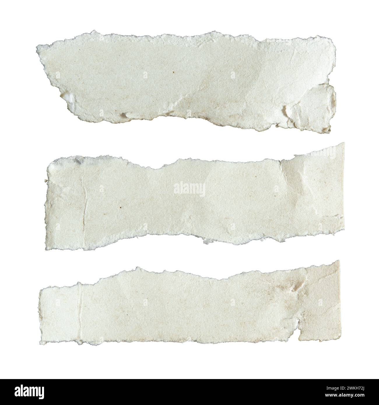 Satz gerissener langer weißer Papiere mit gezackten Kanten auf weißem Hintergrund mit Beschneidungspfad Stockfoto