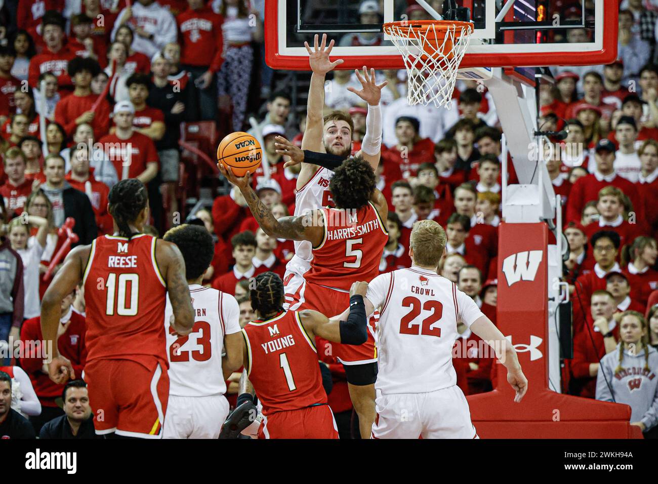 Madison, WI, USA. Februar 2024. DeShawn Harris-Smith (5) versucht einen Schuss als Wisconsin Badgers Forward Tyler Wahl (5) während des NCAA-Basketballspiels zwischen den Maryland Terrapins und den Wisconsin Badgers im Kohl Center in Madison, WI. Darren Lee/CSM/Alamy Live News Stockfoto