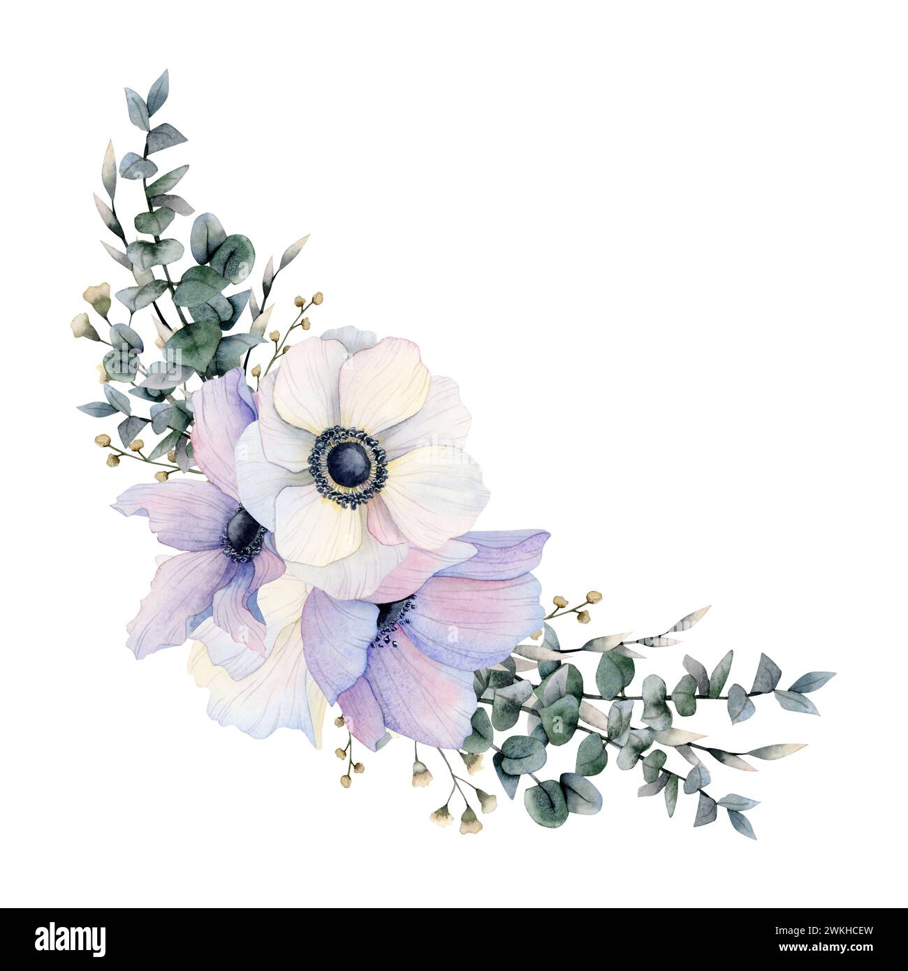 Pastelllila und weiße Anemonen Eckkomposition mit Feldmohn Blumen, Eukalyptus Aquarellillustration Stockfoto