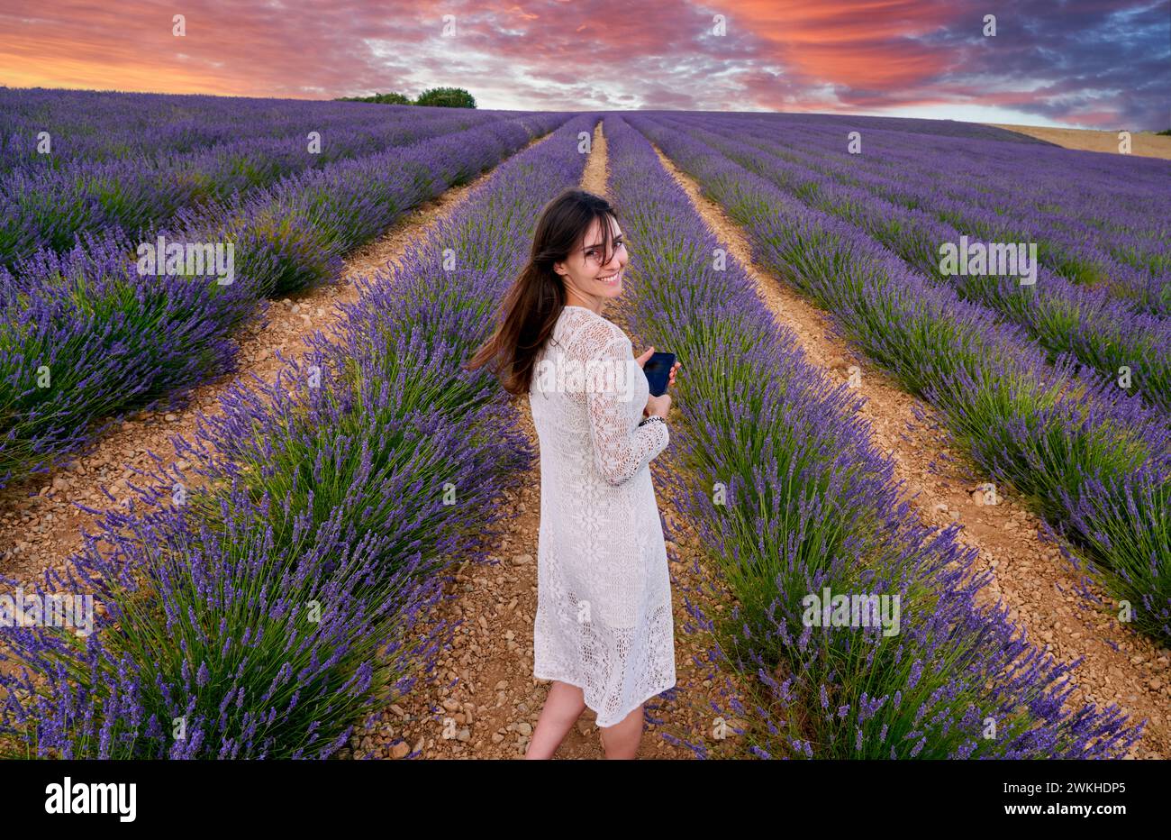 30-35 Jahre altes Mädchen, Anbau von Lavendel, blühende Lavendel, Valensole, Alpes-de-Haute-Provence, Provence-Alpes-Côte d'Azur, Frankreich, Europa Stockfoto