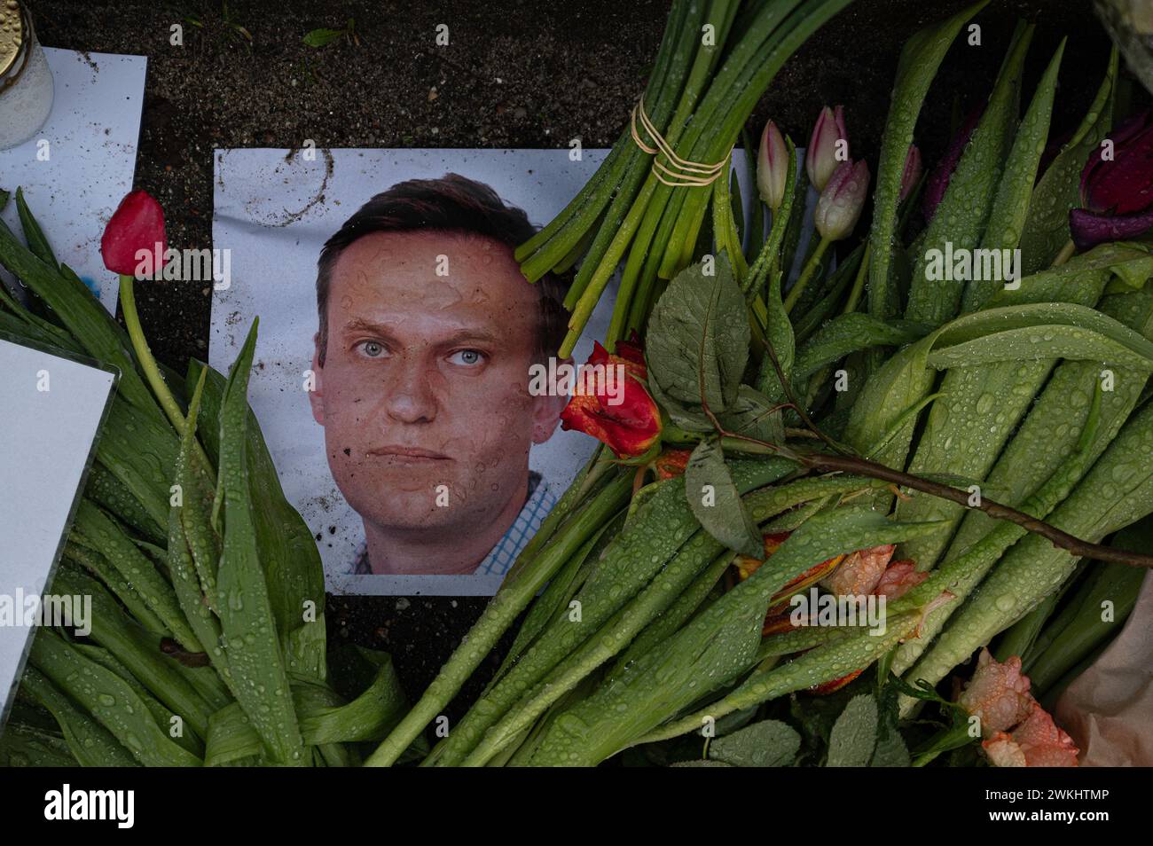 Kopenhagen, 21. Februar 2024 blüht vor der russischen Botschaft zum Gedenken an Aleksej Navalnyj Stockfoto