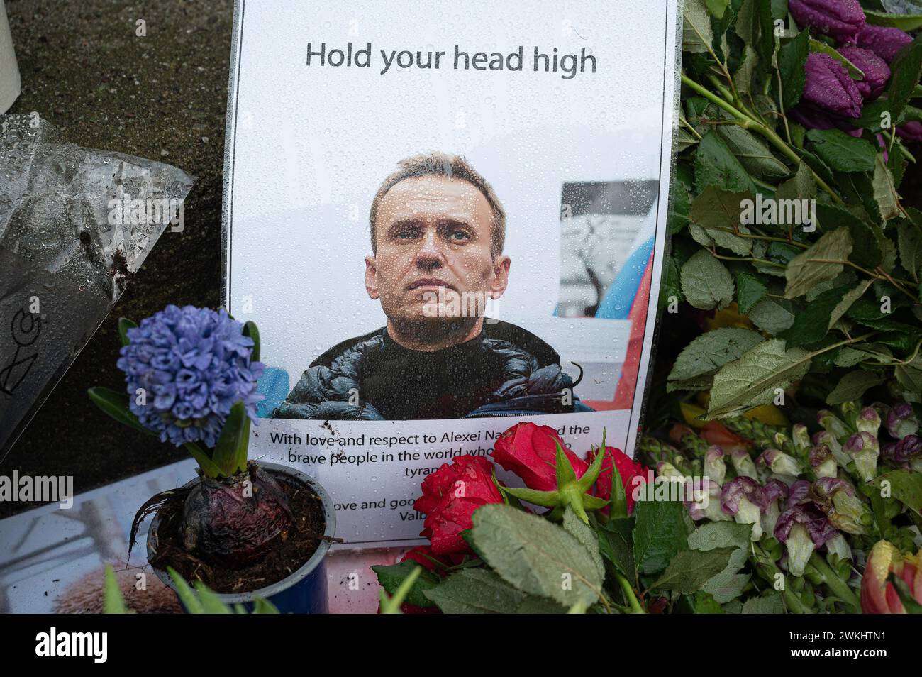 Kopenhagen, 21. Februar 2024 blüht vor der russischen Botschaft zum Gedenken an Aleksej Navalnyj Stockfoto