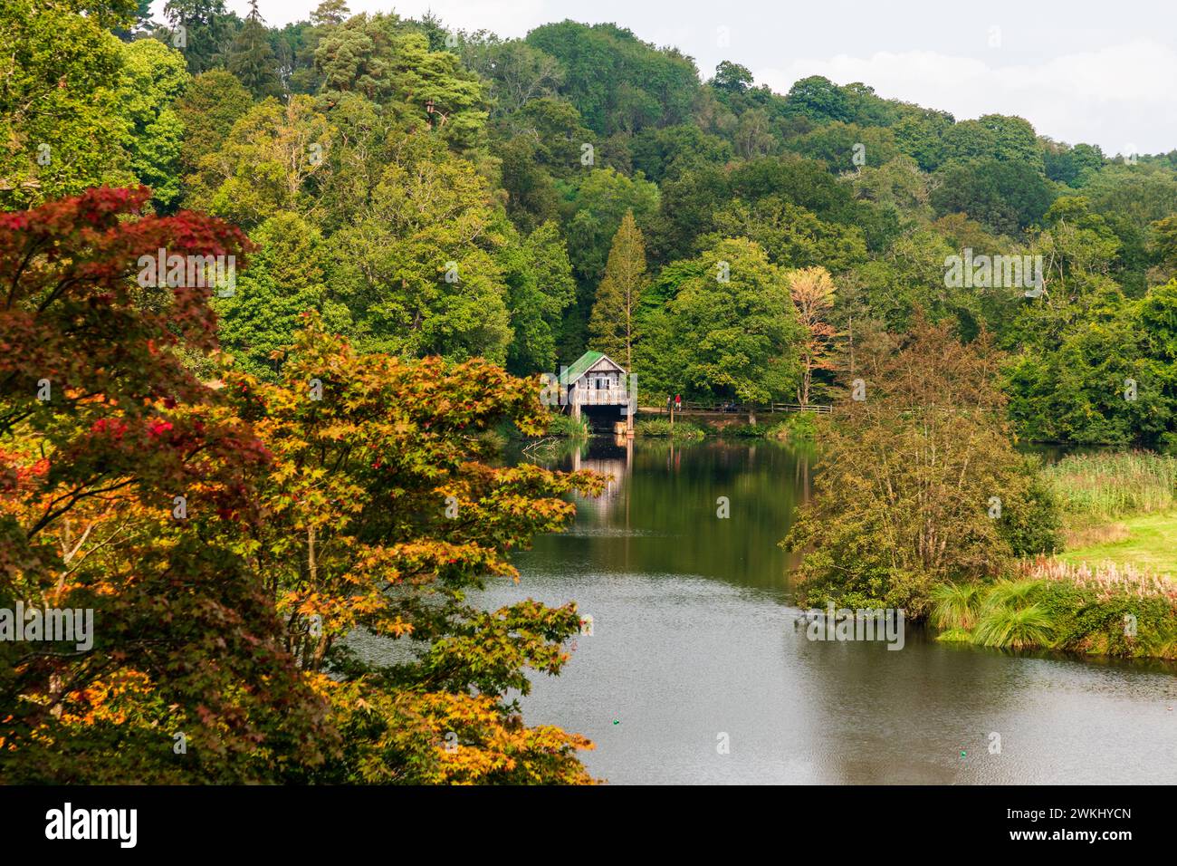 Herbstsaison im Winkworth Arboretum National Trust, Godalming, Surrey, England Stockfoto