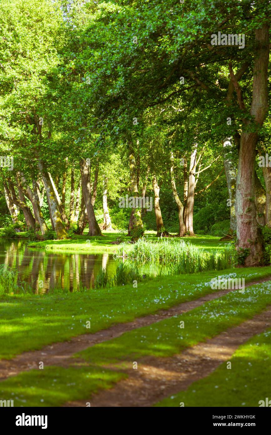 Wanderweg am Wasserteich, See in Albury, Guildford, Surrey, England, UK. Frühlingszeit mit grünen Bäumen, grünem Gras umgeben Stockfoto