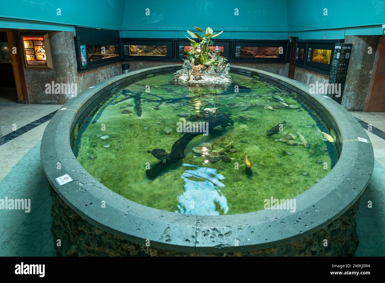 Das Vasco da Gama Aquarium in Alges, Lissabon District, Portugal. Historisches Museum Aquarium eröffnet 1898, eines der ältesten der Welt. Stockfoto