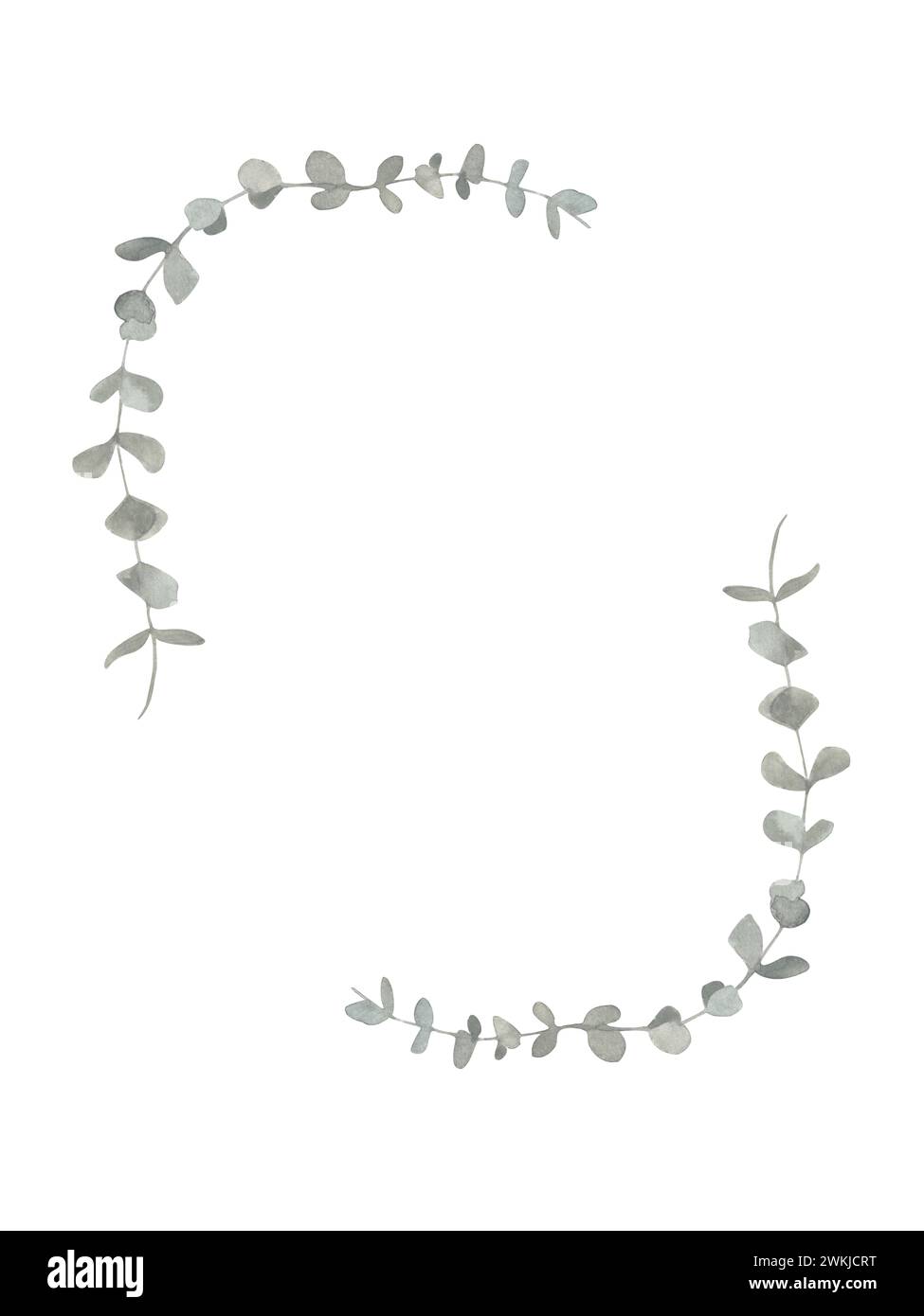 Grauer und grüner Eukalyptusrahmen. Botanische Illustration des Frühlings und des Winters für Hochzeit, Grußkarte, Kranz. Botanisches Laub isoliert auf Stockfoto