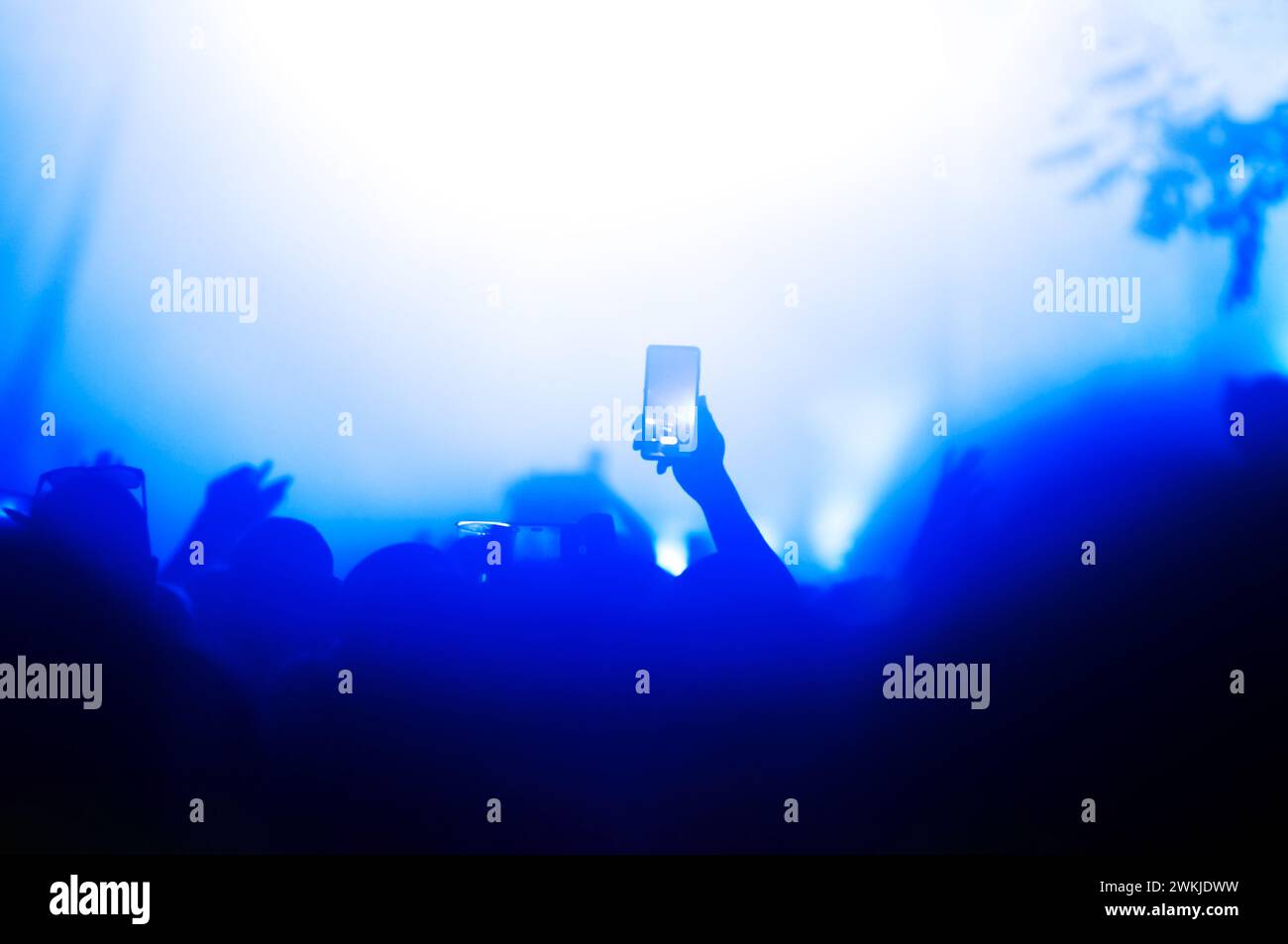 Silhouette einer Hand, die ein Smartphone hält, um einen Moment während eines Nachtkonzerts festzuhalten, das von Bühnenlichtern beleuchtet wird Stockfoto