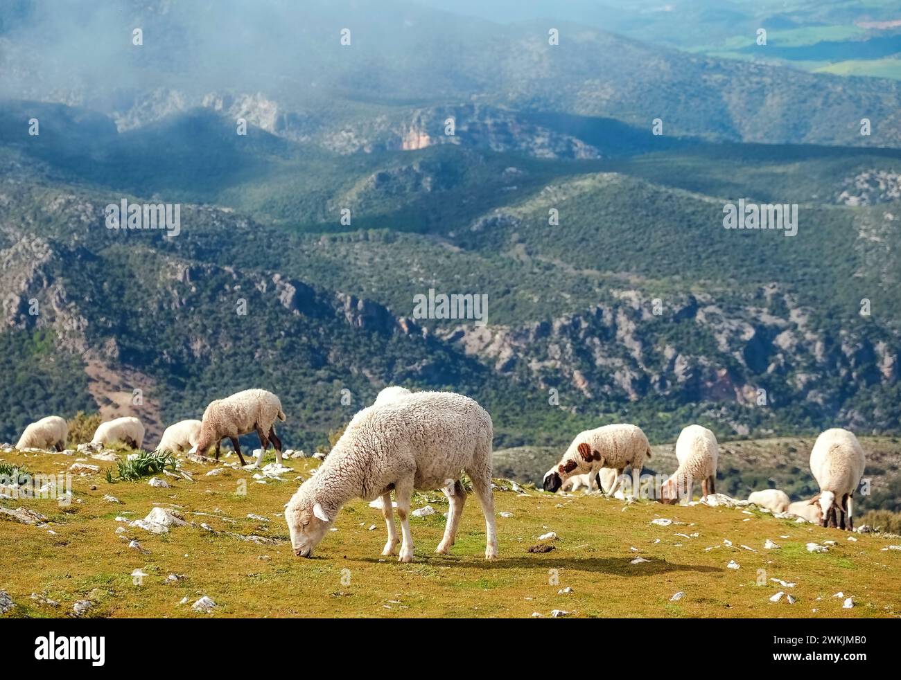 Grazalema-Nationalpark, gehen Sie zu Fuß Stockfoto