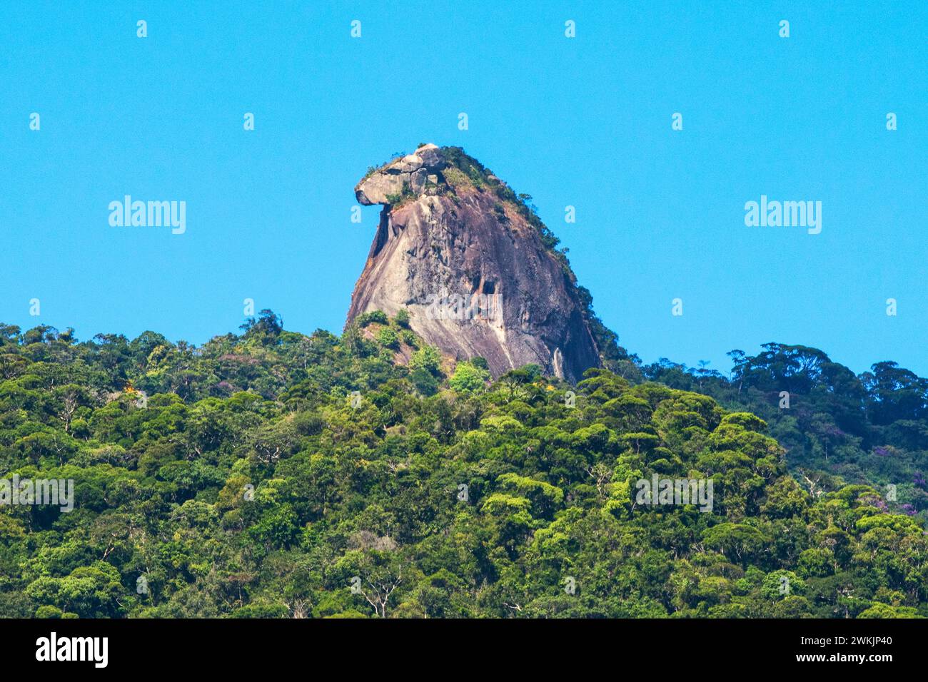 Der „Pico do Papagaio“ (Papageiengipfel) in Ilha Grande, Angra dos Reis, Rio de Janeiro, Brasilien. Stockfoto