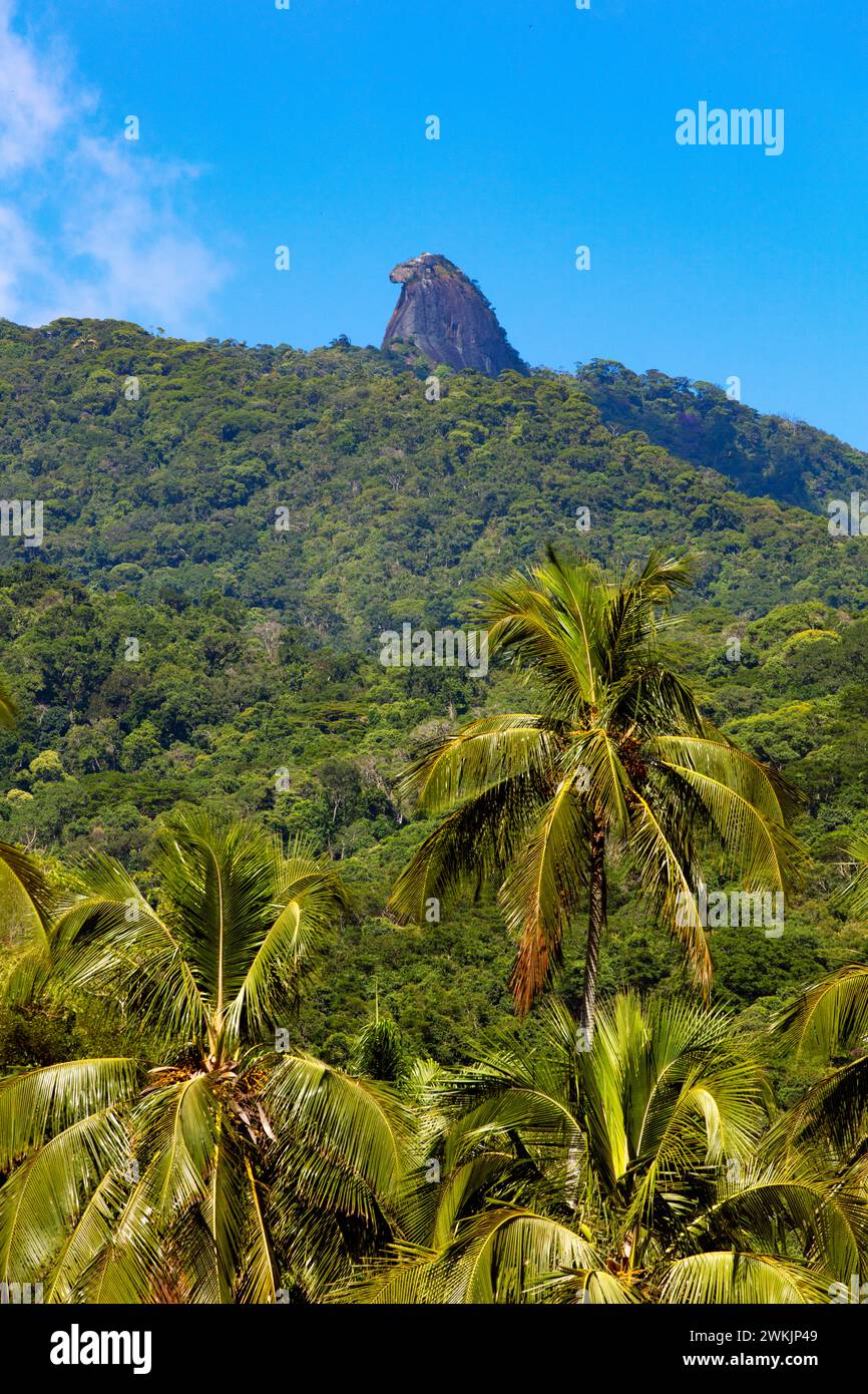 Der „Pico do Papagaio“ (Papageiengipfel) in Ilha Grande, Angra dos Reis, Rio de Janeiro, Brasilien. Stockfoto