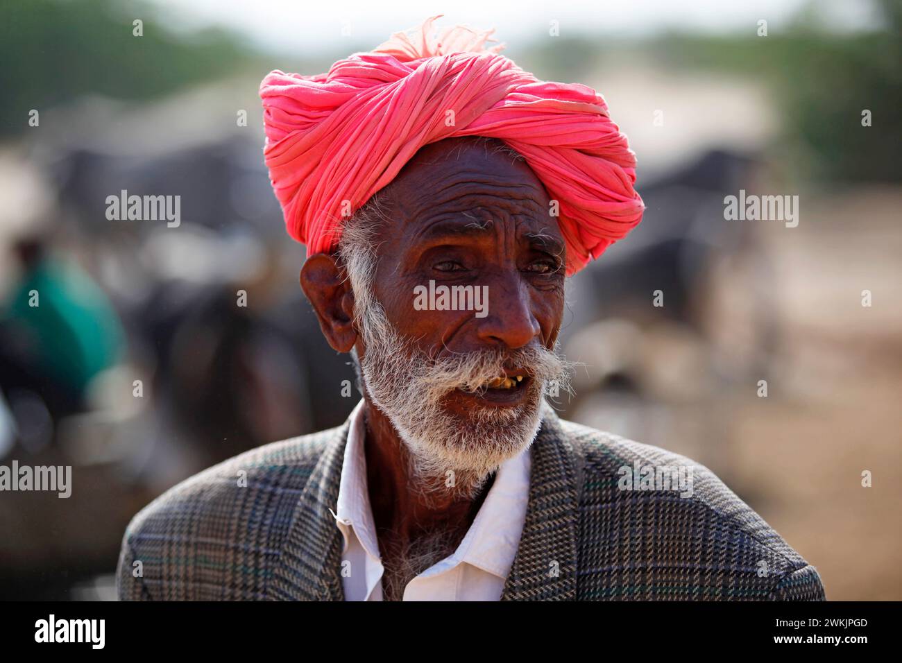 Ein Indianer mit Turban auf der Pushkar Kamelmesse, Rajasthan, Indien. Stockfoto