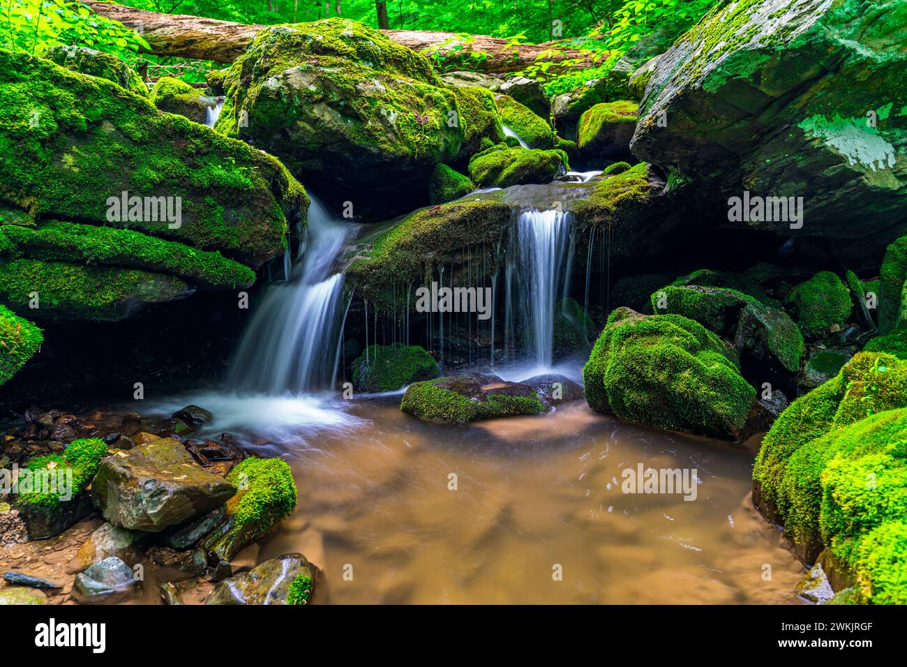 Ein kleiner Wasserfall mit moosigen Felsen im Shenandoah National Park. Virginia, USA Stockfoto
