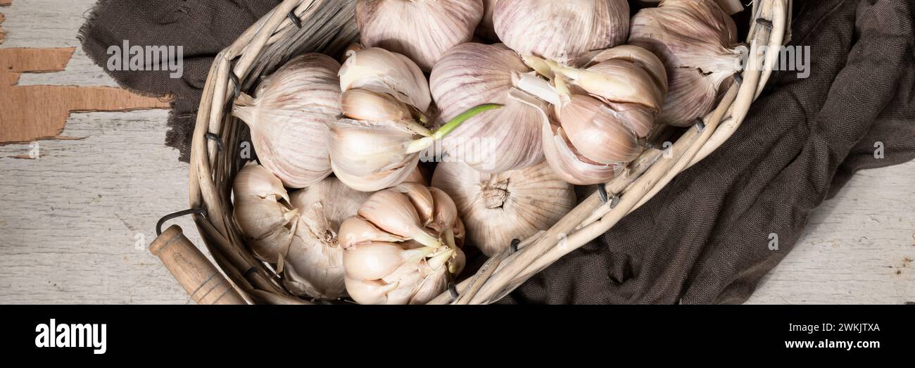 Nahaufnahme von gekeimtem trockenem Knoblauch, gesunde Lebensmittelzutat, landwirtschaftliche Nahrungsmittelernte Stockfoto