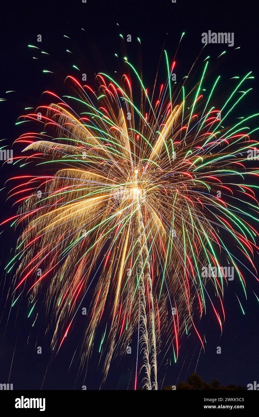 Lebendiges Feuerwerk im Carnival Night Sky Stockfoto