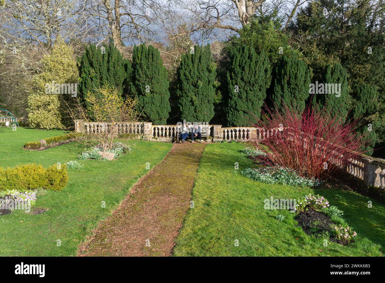 Blick auf die Gärten des Colesbourne Park Country Anwesens in Gloucestershire, England, Großbritannien, mit Schneeglöckchen blühenden im Februar Stockfoto