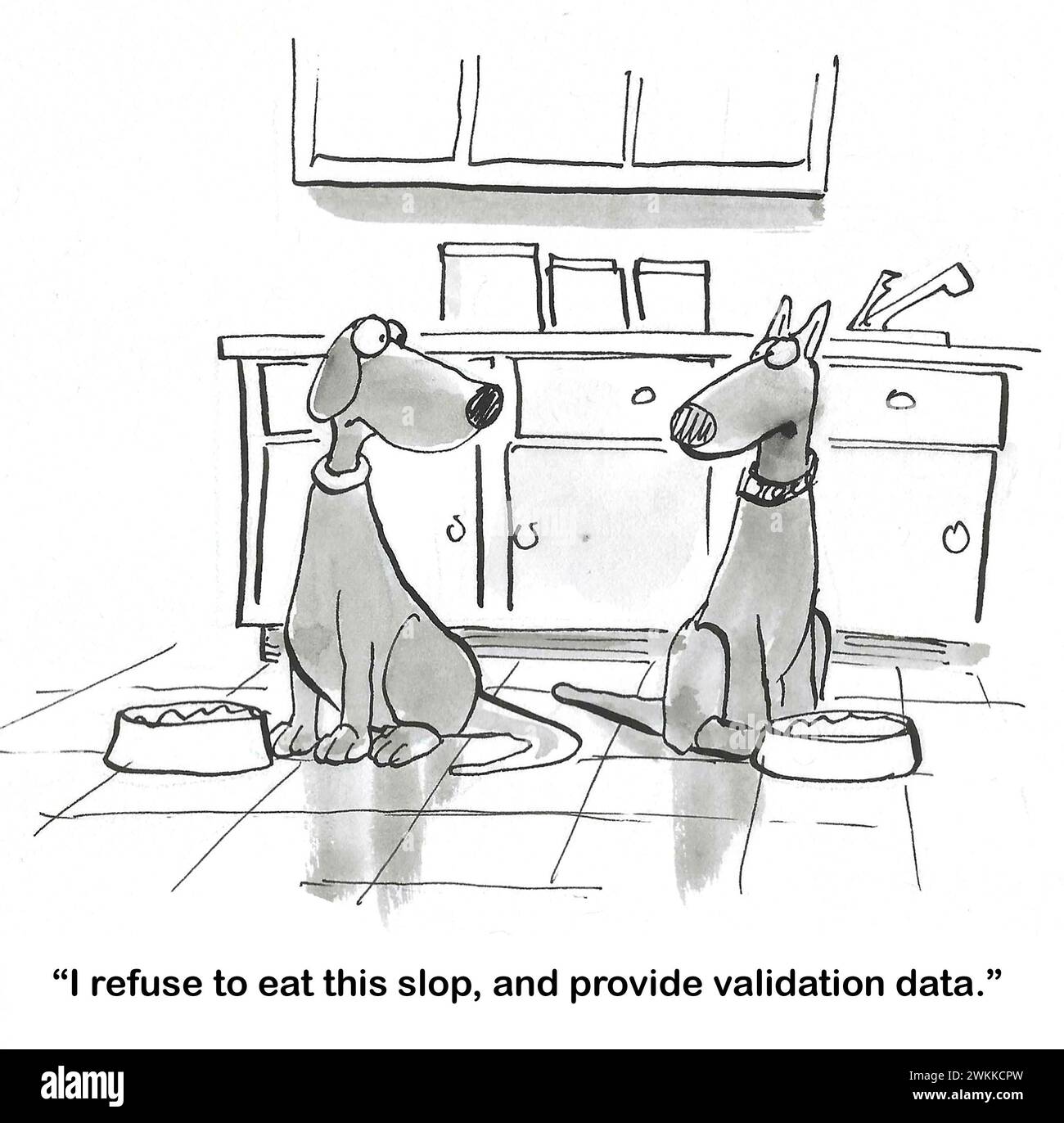 BW Cartoon von zwei Hunden, denen Hundefutter gegeben wird, was einem nicht gefällt, und wird die Validierungsdaten nicht an das Marktforschungsteam weitergeben. Stockfoto